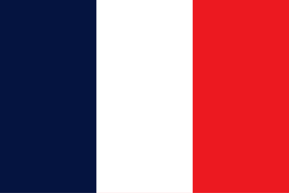 FRANÇAIS flag